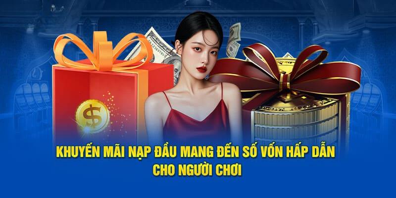 Ưu đãi ngập tràn khi tham gia nhà cái